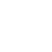 icon2 icon2